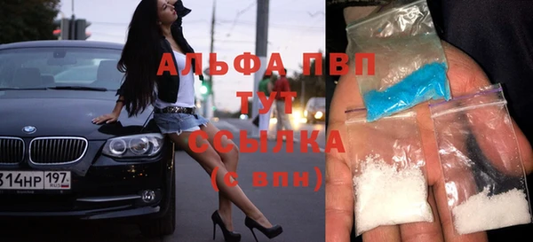 прущие грибы Нязепетровск