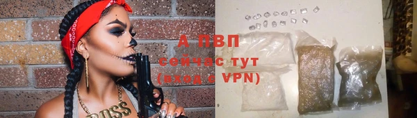 прущие грибы Нязепетровск