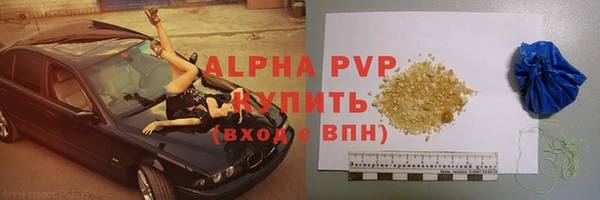 прущие грибы Нязепетровск
