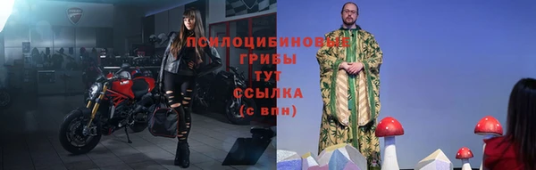 прущие грибы Нязепетровск