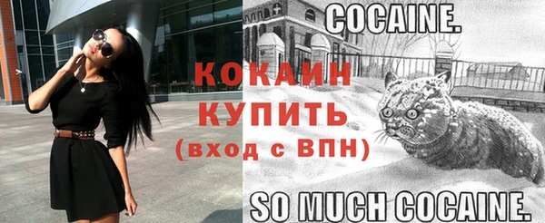 прущие грибы Нязепетровск