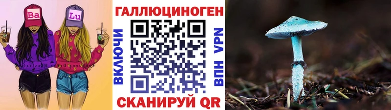 блэк спрут как войти  Кизел  Псилоцибиновые грибы ЛСД  как найти наркотики 